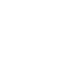 Language